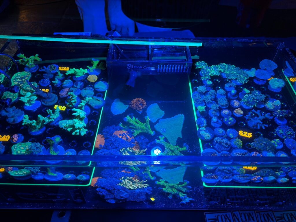 3F53657A 75A7 4840 993B 18766AAA0E75 1 102 o