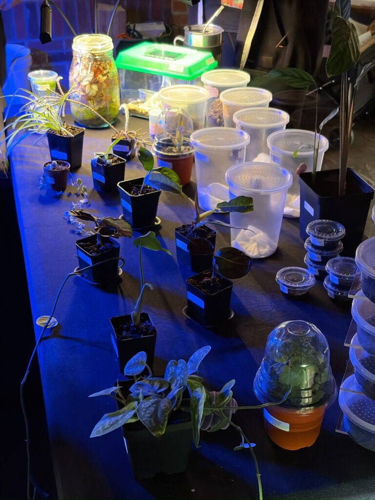 429B985D CE54 4229 89F6 ADBB8DD61C85 1 102 o