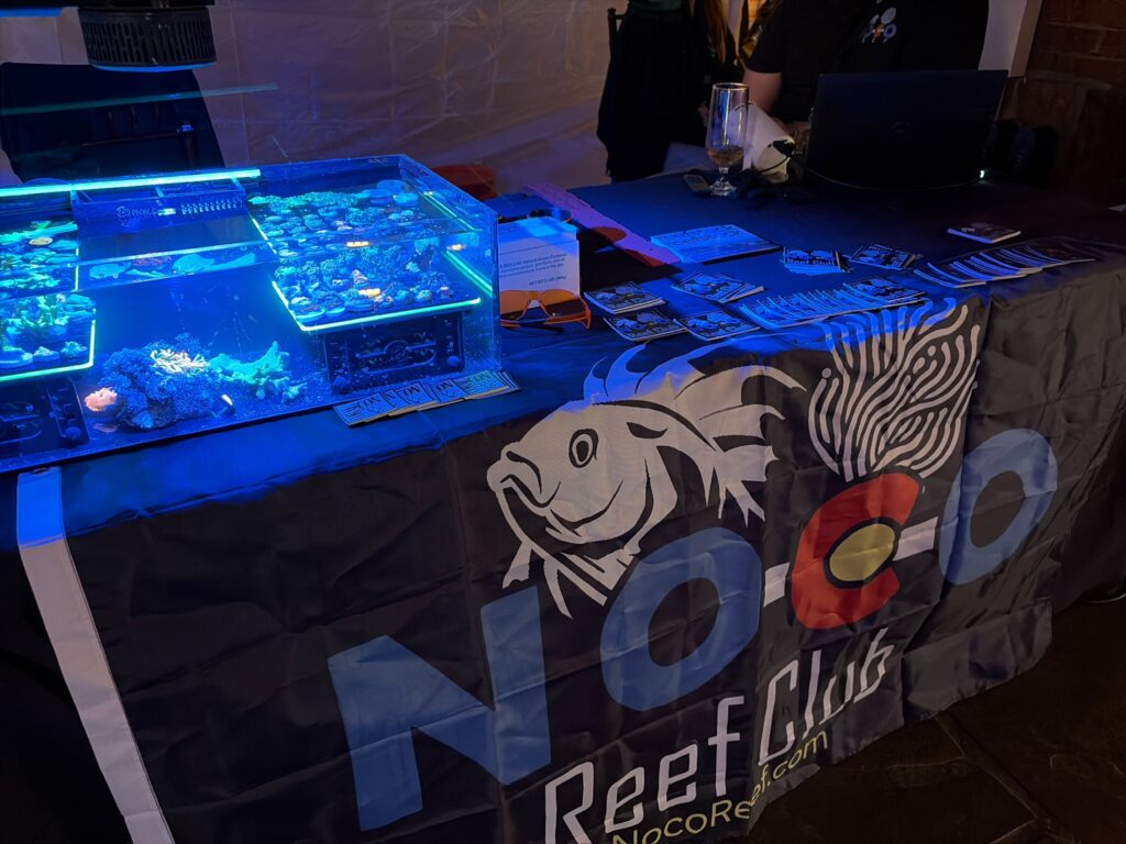 47DC4E97 D3D6 4059 A7D0 99A0905C52A1 1 102 o