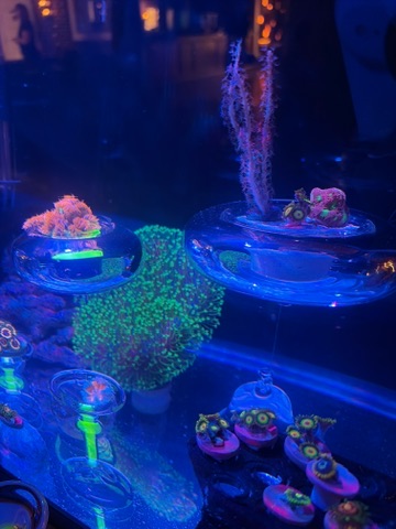 4A10E089 0844 4A3A B9D8 62B9F087BC1F 4 5005 c