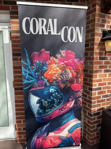 4B6CBA13 BB86 4BE0 8239 AF5629943506 4 5005 c