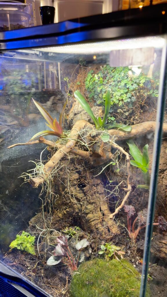 50FCEEB1 3D08 4E75 98A1 B684F6E6FEF6 1 102 o