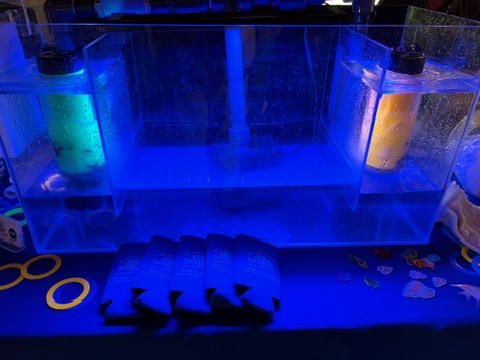 98F1A409 F465 43B1 8DDC 88C2AC05E82E 4 5005 c